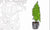 TREES
